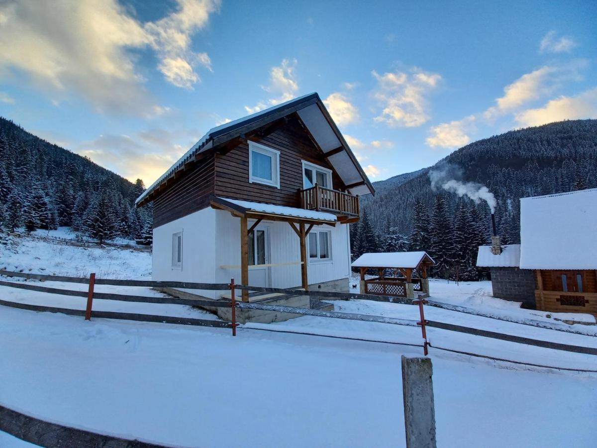 Holiday home будинок для відпочинку вербівський світанок