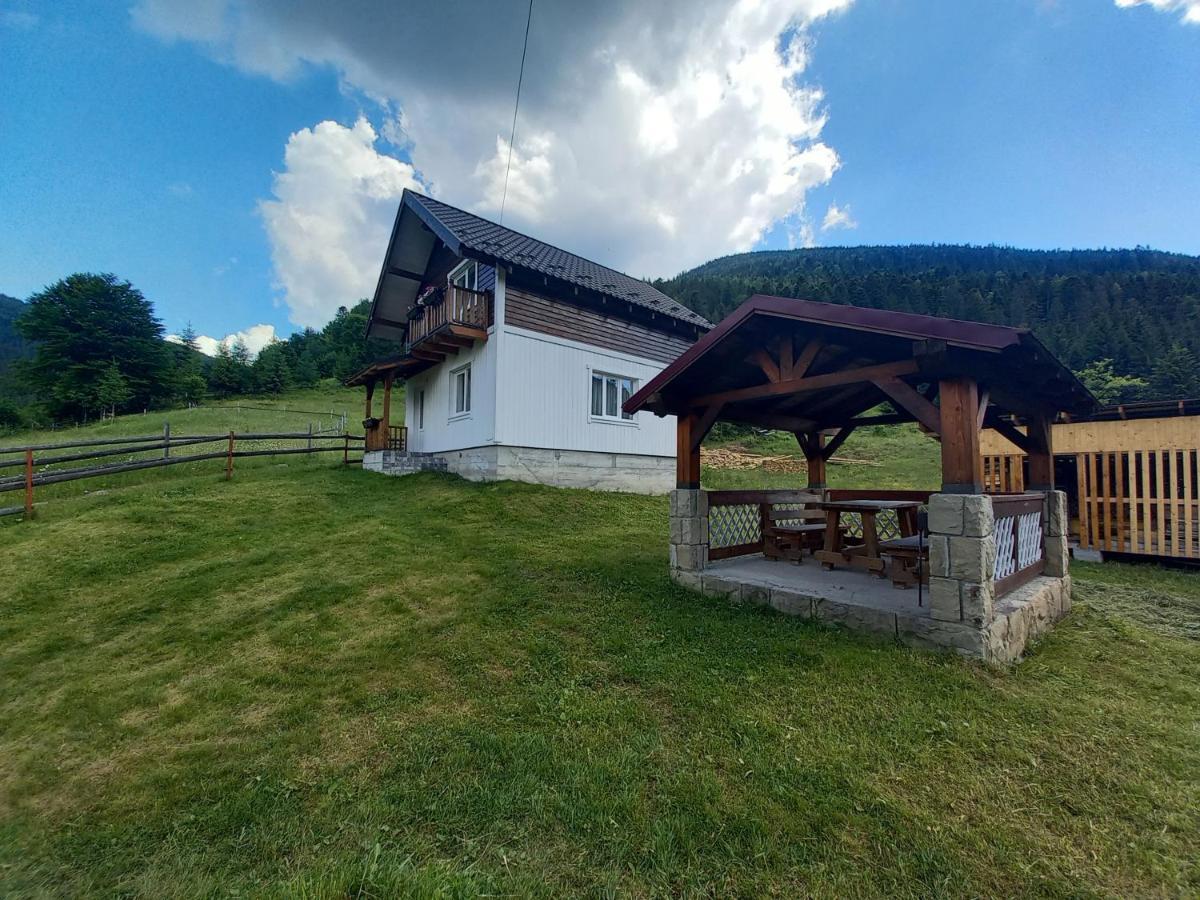 Holiday home будинок для відпочинку вербівський світанок *