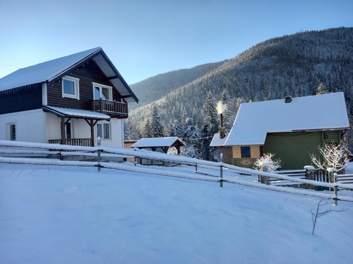 будинок для відпочинку вербівський світанок Holiday home *