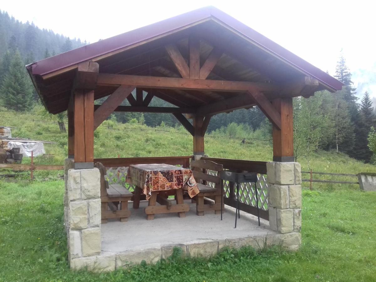 Holiday home будинок для відпочинку вербівський світанок