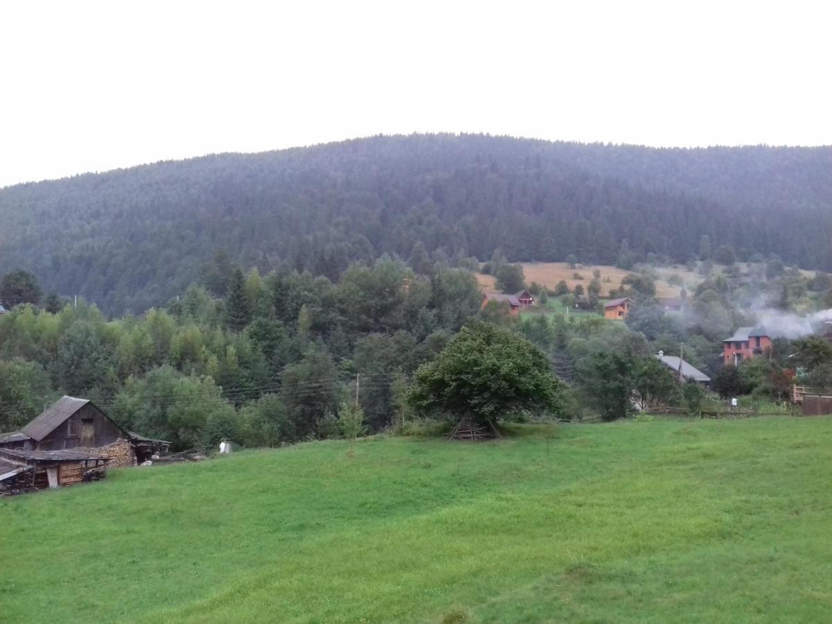 Holiday home будинок для відпочинку вербівський світанок